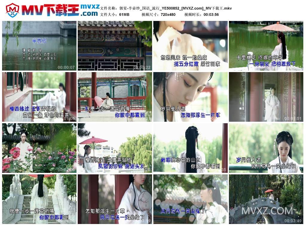 郭宴-半壶纱_国语_流行_YE500852